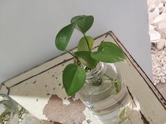 -娜娜家·Nana's restaurant(国金汇店)