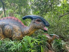 -海南热带野生动植物园
