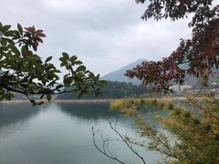 -广州市流溪河国家森林公园