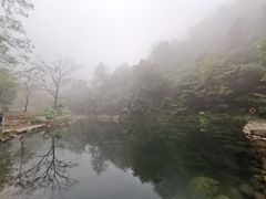 -白云源风景区