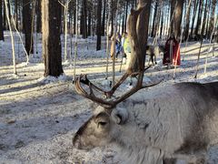 -北极村旅游风景区