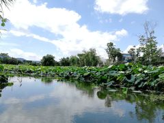 -西溪国家湿地公园