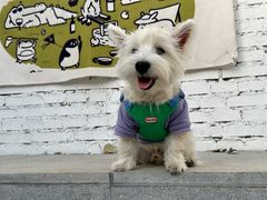 -小意思咖啡店(草桥店)