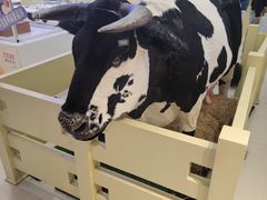 -红星前进面包牛奶公司(君太店)