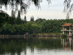 -深圳龙潭公园