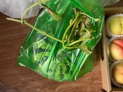 -南汇新场正宗水蜜桃采摘