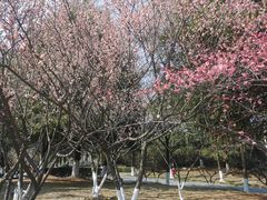 -白塘生态植物园