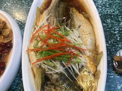 大黄鱼-秦淮人家风味酒楼(赣榆店)