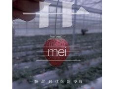 -建德果蔬乐园绪塘草莓基地