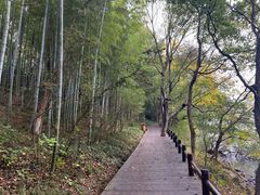 -天目湖山水园