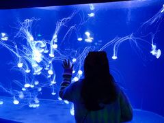 -青岛海底世界-水族馆
