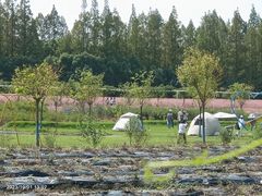 -嘉北郊野公园