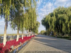 -伊犁河风景区