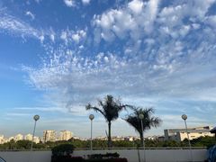 -厦门高崎国际机场-T3航站楼