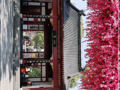-南汇桃花村