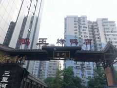 -鸭王烤鸭店(三里河店)