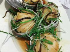 -金鮀岛潮州酒家