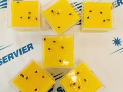 -兔兔家蛋糕甜品(德胜店)