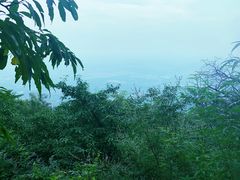 -阳台山自然风景区