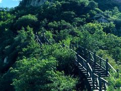 -大岭沟猕猴桃谷风景区