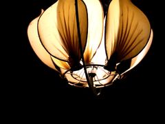 -鱼桥巷·美学川菜