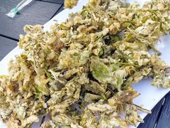 炸花椒芽-途肴·老农饭庄(百里峡店)