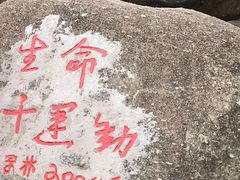 -火炉山森林公园