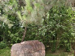 -洛阳市隋唐城遗址植物园