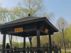 -大兴滨河森林公园