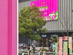 -合景·悠方(成都店)