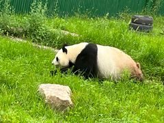 -沈阳森林动物园
