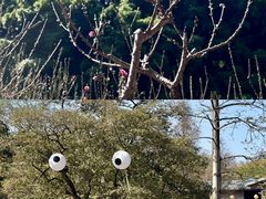 -桃花涧
