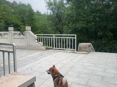 -白水寺森林公园