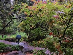 -火炉山森林公园