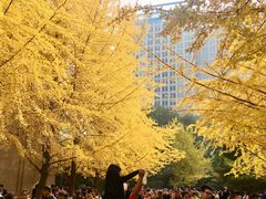 -辽宁大学(崇山校区)