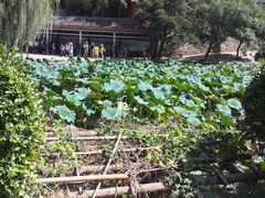 -韶山毛泽东同志故居