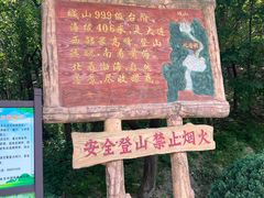 -金龙寺国家森林公园