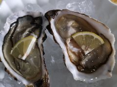 新西兰生蚝-蚝专家(北滘店)
