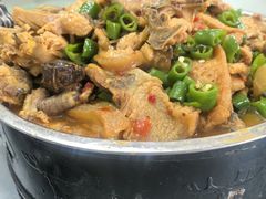 -珠梅土鸡(娄底市娄星区煤炭局东)