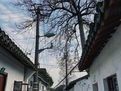 -金泽古镇
