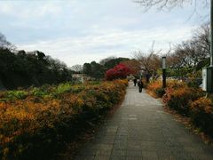 -名古屋城