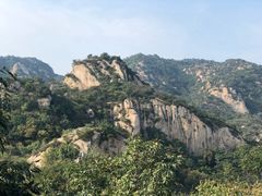 -大岭沟猕猴桃谷风景区