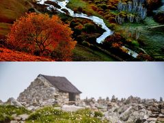 -秦岭风景区