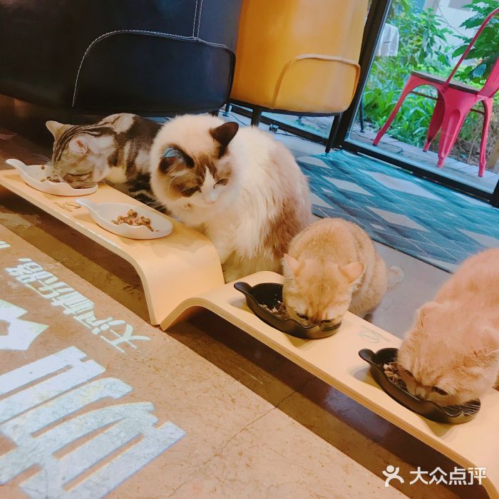 咖法森林·咖啡  酒吧(天河店)图片