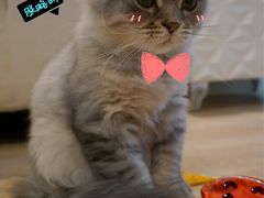 -中影国际影城(建军路金鹰购物中心店)