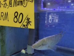 -钱塘府海鲜餐厅