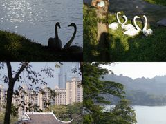-顺峰山公园