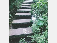 -重庆彩云湖湿地公园