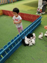 点击看大图 -萌宠亲子动物乐园(槐房万达店)