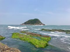 -盐洲岛